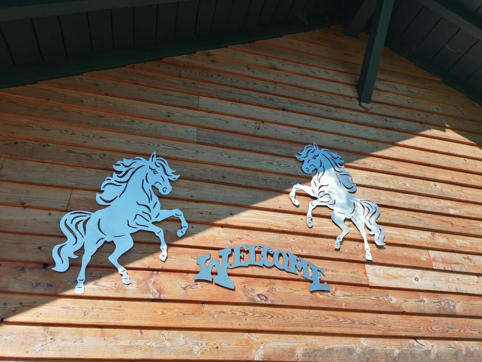 Villa Wild Life Ranch Schöfweg Esterno foto